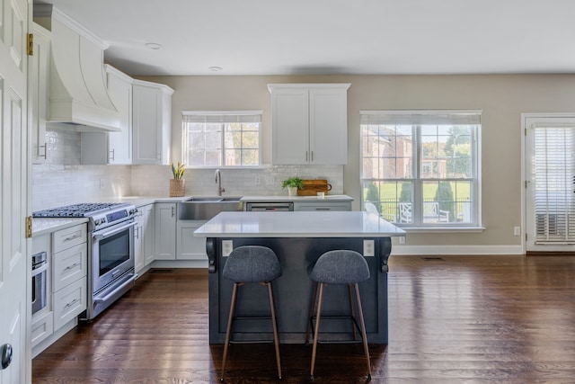 kitchen with white cabinetry, a wealth of natural light, appliances with stainless steel finishes, and dark hardwood / wood-style flooring