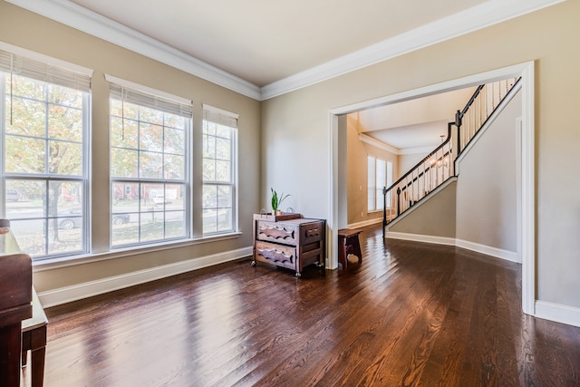 sitting room with dark wood-type flooring, plenty of natural light, and ornamental molding