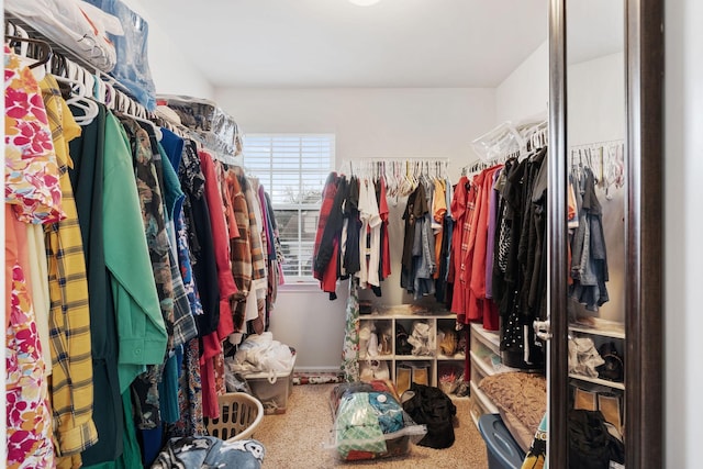 walk in closet featuring carpet floors