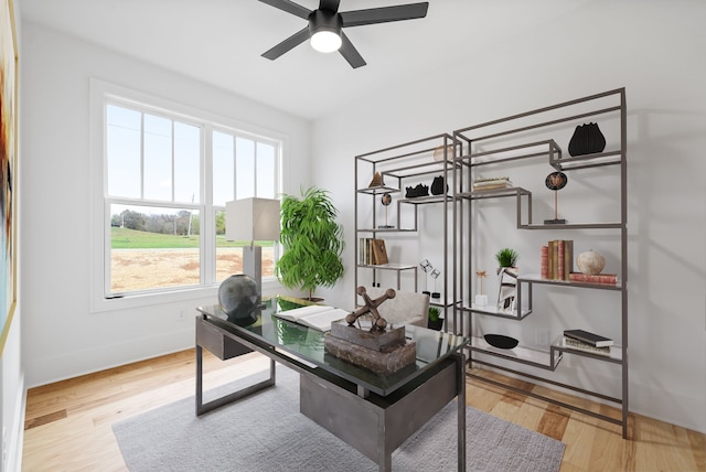 office featuring hardwood / wood-style floors and ceiling fan