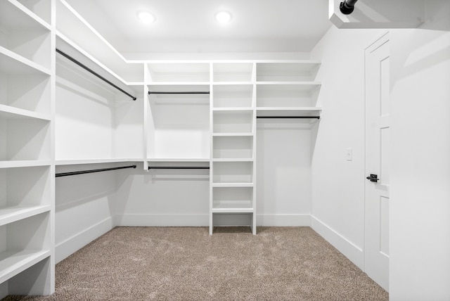 walk in closet featuring carpet