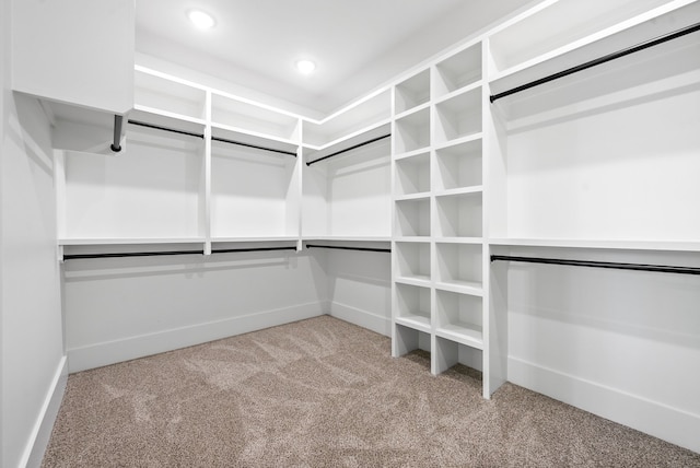 walk in closet featuring light carpet