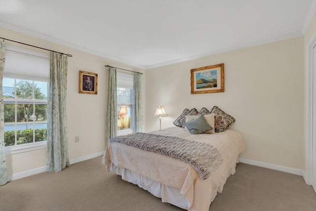 bedroom with crown molding and carpet