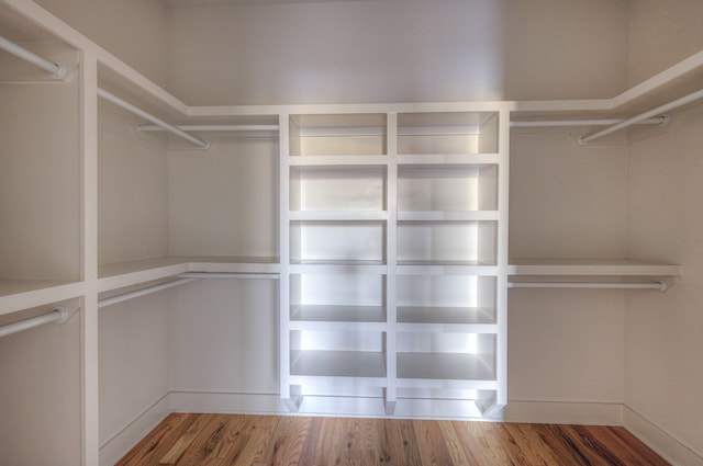 spacious closet with wood-type flooring