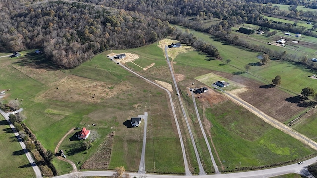 bird's eye view with a rural view