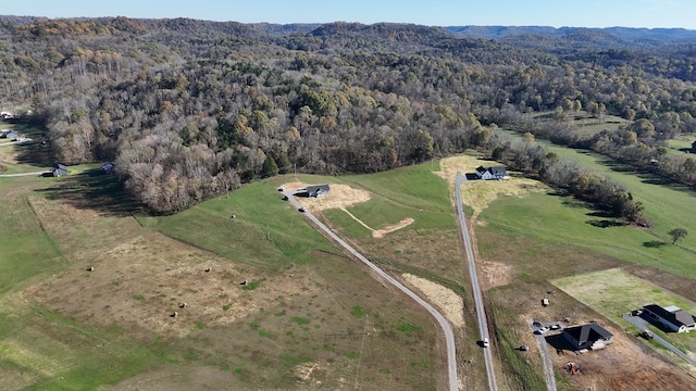 bird's eye view with a rural view