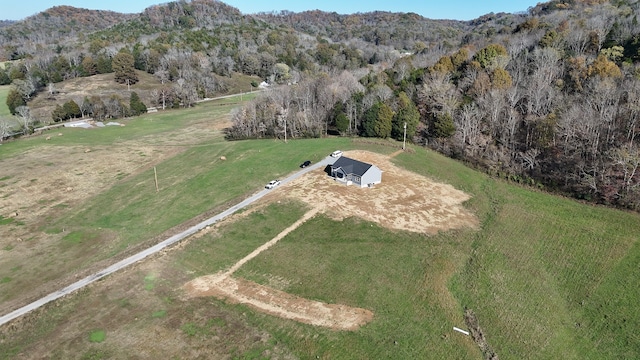 bird's eye view featuring a rural view and a mountain view