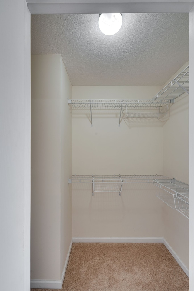 spacious closet with carpet floors