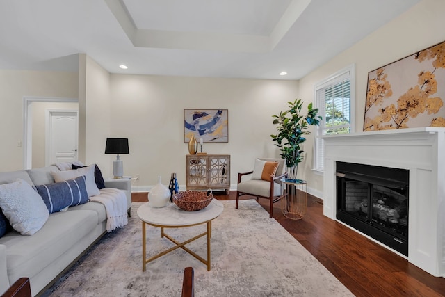 living room with dark wood-type flooring and a raised ceiling