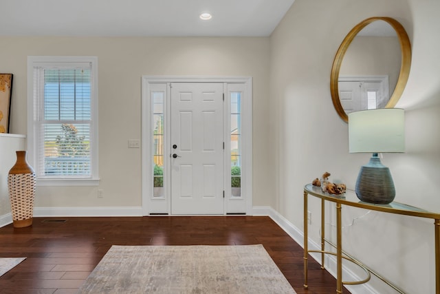 entrance foyer with dark hardwood / wood-style floors and a healthy amount of sunlight