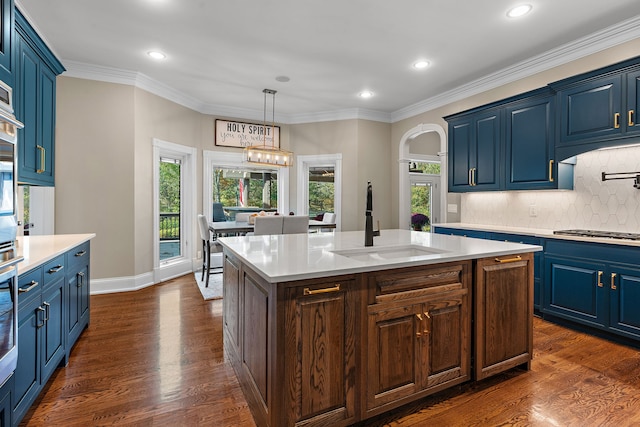 kitchen with a wealth of natural light, dark hardwood / wood-style floors, sink, and a kitchen island with sink