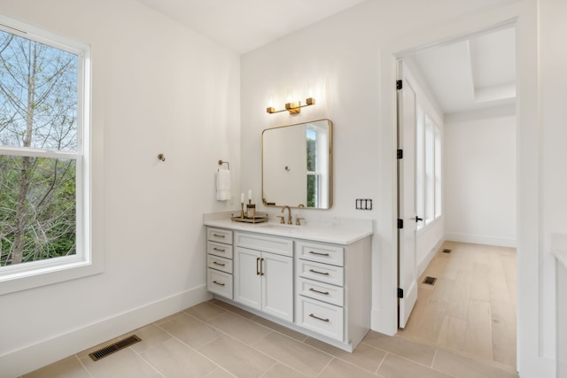 bathroom featuring vanity, a healthy amount of sunlight, and wood-type flooring