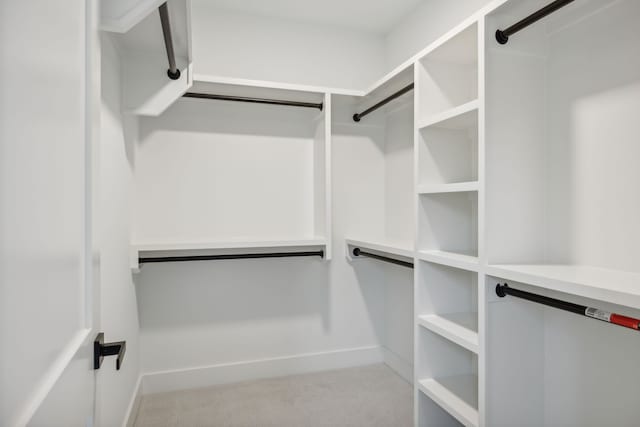 spacious closet featuring light carpet