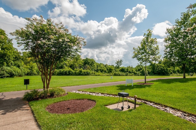 view of community featuring a lawn