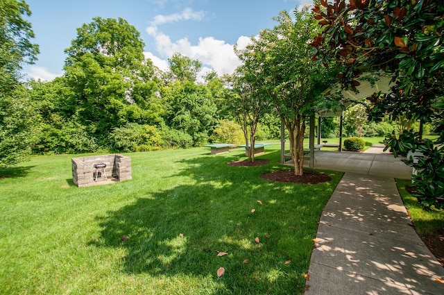 view of property's community with a yard