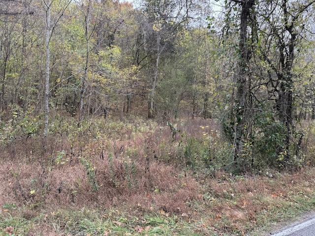 0 Denton Rd, Linden TN, 37096 land for sale