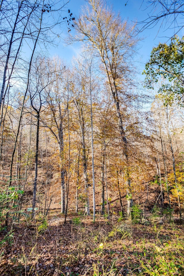 21 Fox Vale Ln, Nashville, TN 37221 - photo 11