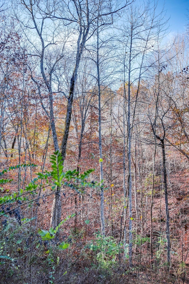 21 Fox Vale Ln, Nashville, TN 37221 - photo 9