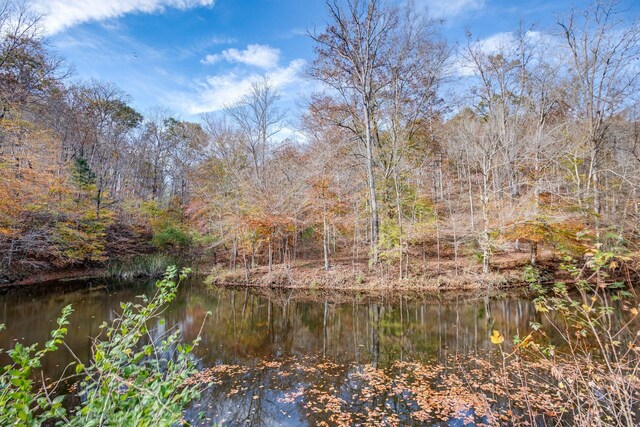 21 Fox Vale Ln, Nashville, TN 37221 - photo 6