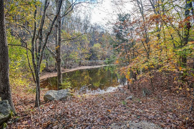 21 Fox Vale Ln, Nashville, TN 37221 - photo 4