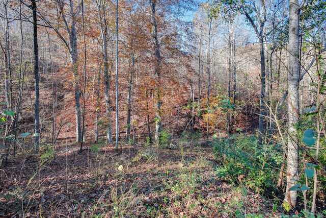 21 Fox Vale Ln, Nashville, TN 37221 - photo 10