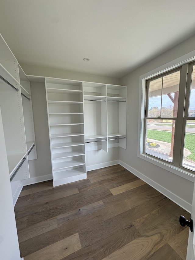 spacious closet featuring dark hardwood / wood-style flooring