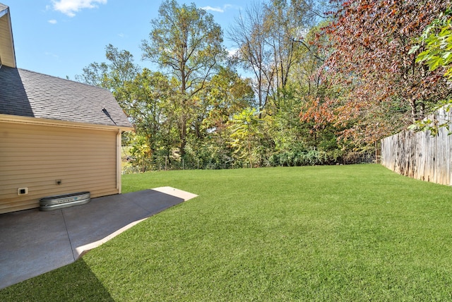 view of yard featuring a patio area