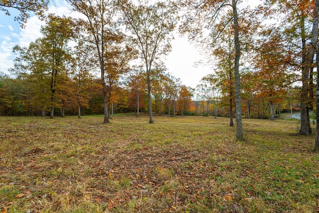 0 Monteagle Falls Rd, Monteagle TN, 37356 land for sale