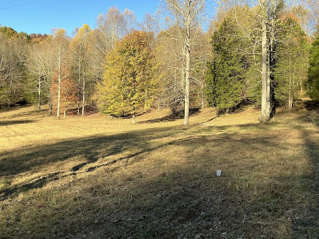 375 Red Tuttle Rd, Bethpage TN, 37022 land for sale