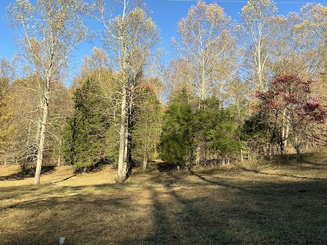 Listing photo 3 for 375 Red Tuttle Rd, Bethpage TN 37022