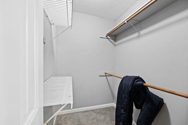 spacious closet featuring carpet floors