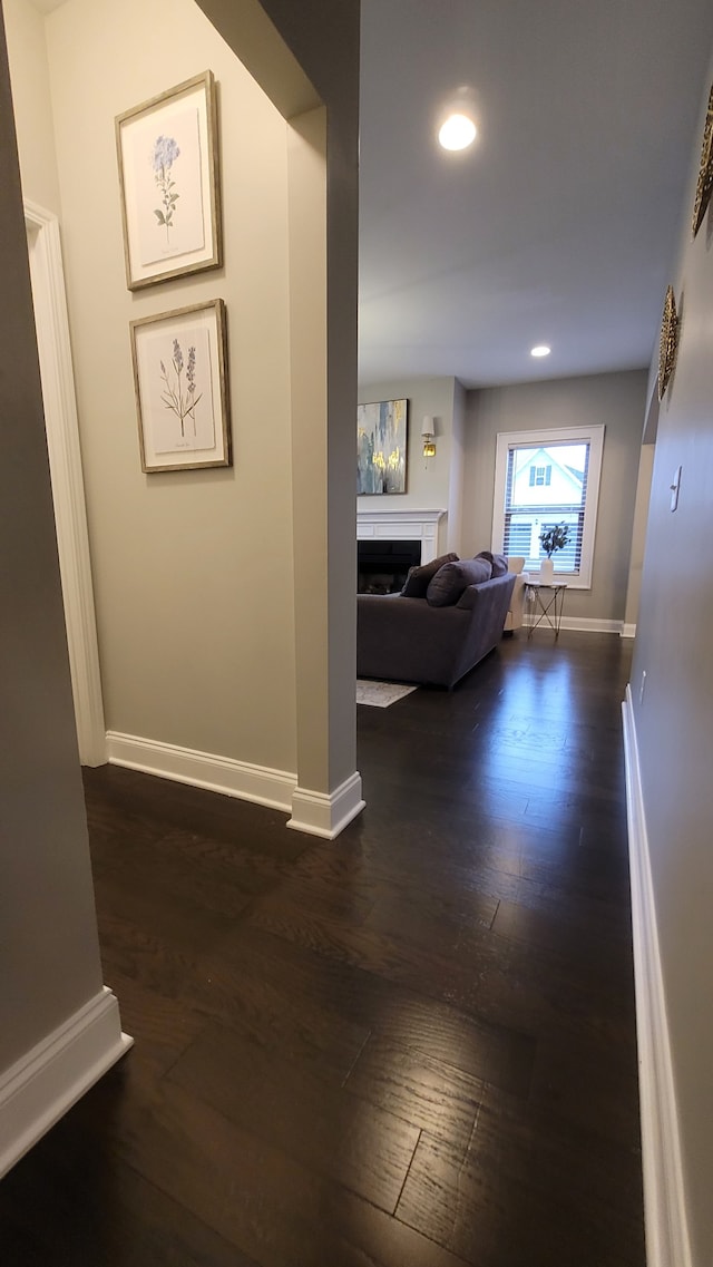 hall featuring dark hardwood / wood-style floors