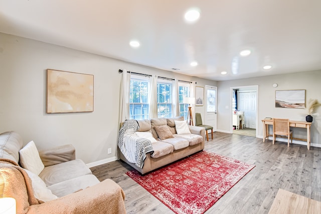 living room with wood-type flooring