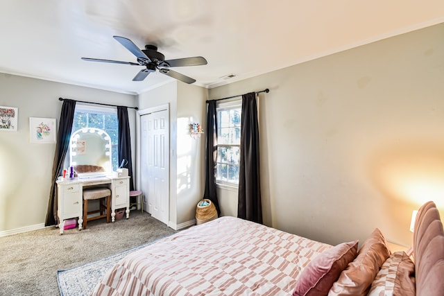 bedroom featuring ceiling fan, multiple windows, carpet flooring, and ornamental molding