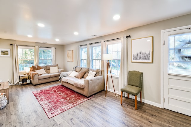 living room with hardwood / wood-style flooring and a healthy amount of sunlight