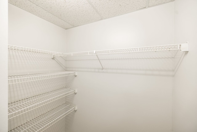 spacious closet featuring a paneled ceiling