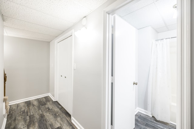 hallway featuring a drop ceiling and dark hardwood / wood-style flooring