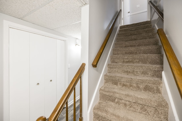 stairway featuring a paneled ceiling and carpet floors