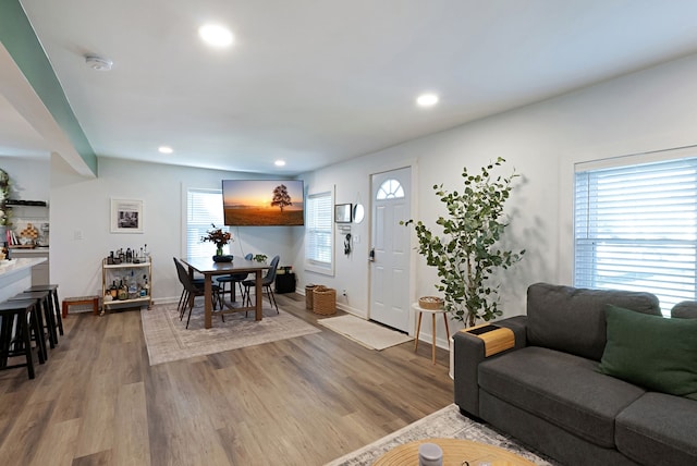 living room featuring a wealth of natural light and light hardwood / wood-style flooring