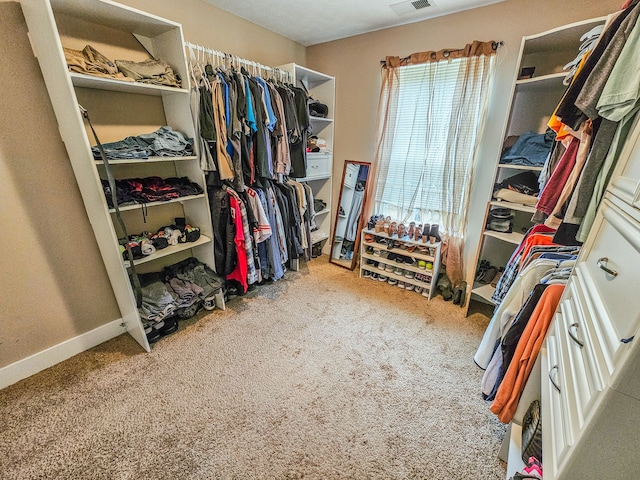 spacious closet with carpet