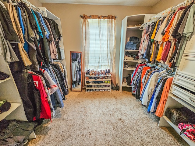 spacious closet featuring carpet