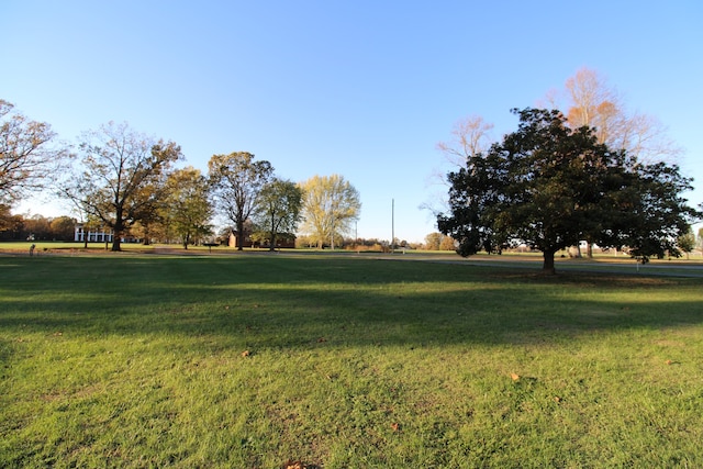 view of community with a lawn