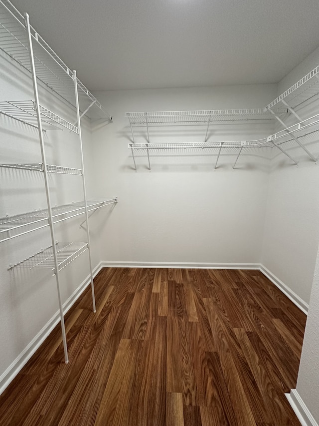 walk in closet featuring wood-type flooring