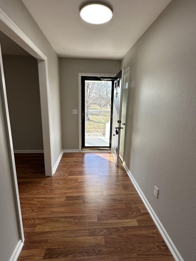 doorway featuring dark hardwood / wood-style flooring