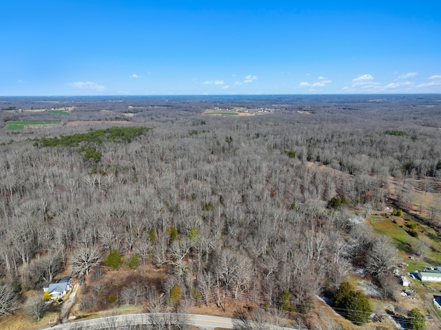 1505 Southside Rd, Southside TN, 37171 land for sale