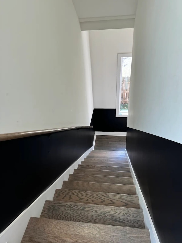 stairway with wood-type flooring