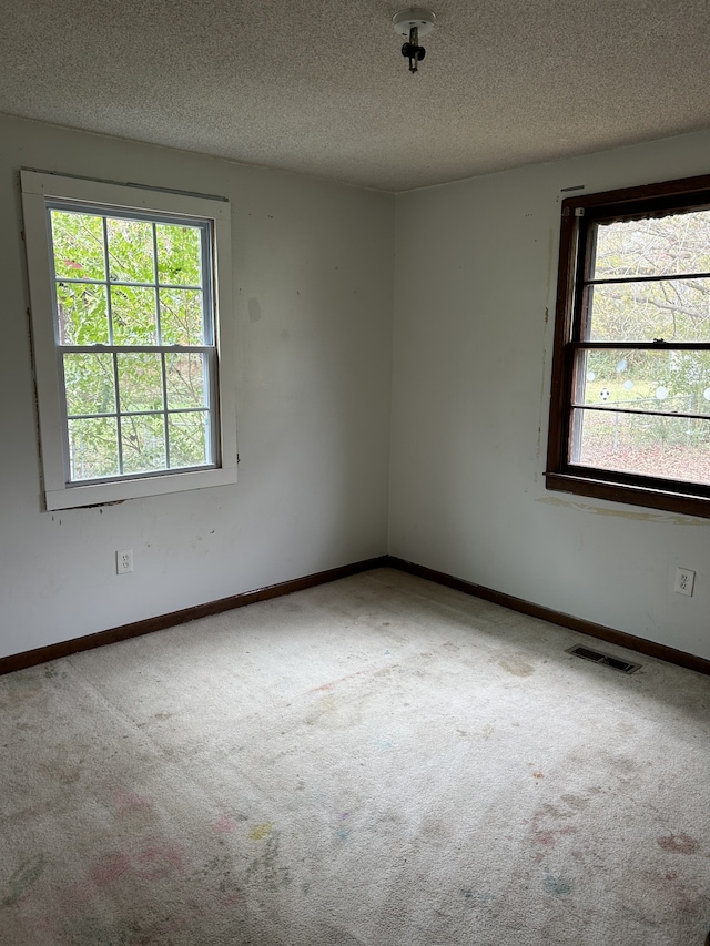 carpeted empty room with a wealth of natural light and a textured ceiling