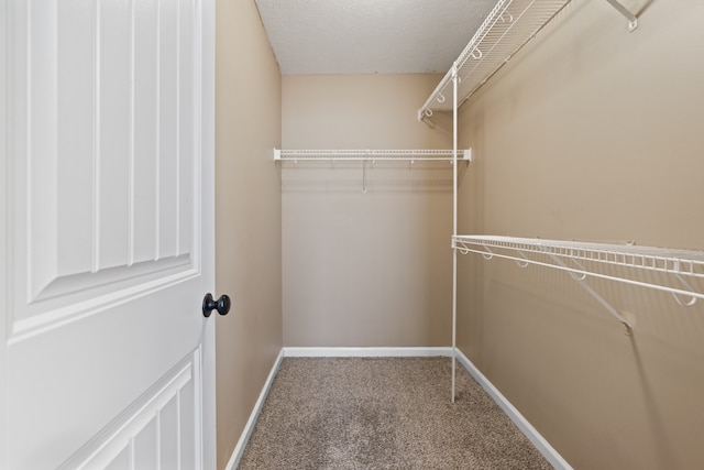 spacious closet with carpet floors