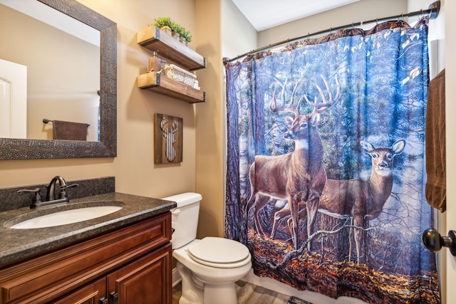 bathroom with toilet and vanity