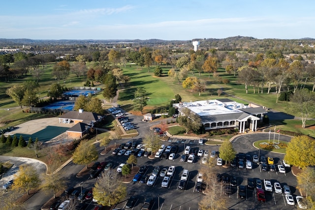 bird's eye view